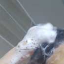 🌿민감한 두피도 안심! 온 가족이 함께 쓰는 비건샴푸, 닥터모두 두피케어 샴푸 후기
