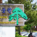 솔향공원 소나무전시관 이미지