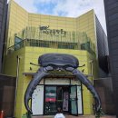 여주박물관 | 6세 아이가 사랑에 빠진 [여주곤충박물관] 리얼후기