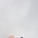 루나플로르 이미지