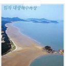 대광해수욕장 이미지
