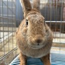 성무로21번길 이미지