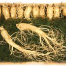 우리건강식품 이미지