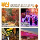 동래카월드 이미지