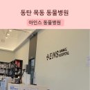 아인스동물병원 | 동탄 목동 아인스 동물병원 피부 트러블 치료