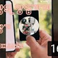 송학약초건강원