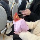 더마레보 호텔 이미지