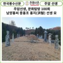 홍지선생 묘 이미지