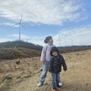 덕곡길 | 영덕 여행 코스 추천 아이들과 다녀온 맛집 카페 체험