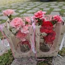 나주제일약국 이미지