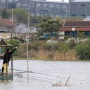 버들낚시터 이미지