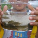 늘푸른체험학교 이미지