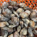 푸른수산 이미지