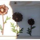 분향초등학교 이미지