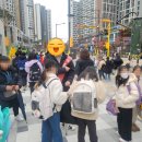 연푸른초 이미지