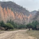 온빛약국 이미지