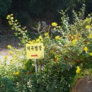 덕곡별장 이미지