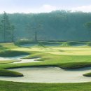 테디벨리골프장 4 이미지