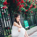 망원 성원 2차 아파트 | [인물사진/장미스냅] 망원동 장미, 망원성원2차아파트, 동덕주택