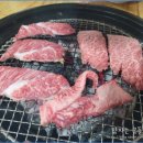 안중한우