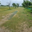 스포츠파크 파크골프장 이미지