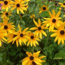 준선농장 이미지