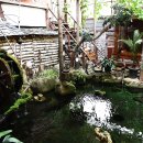 봉평메밀진미식당 이미지