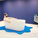 토이아트
