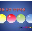 아쿠아볼