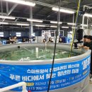 등푸른수산