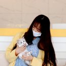개인화물2874 | 인천(수원,광교,동탄,분당,상현동,기흥)고양이분양후기에요~