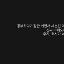 우지핏 이미지