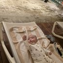 소나무 숲 리조트 | 100일 아기랑 호캉스 2편 안토리조트 팀버스위트(구...숙박/부대시설/조식 후기(feat. 겨울 북서울꿈의숲)