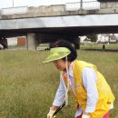 도마경로당 이미지