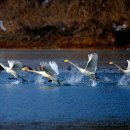 오리여행 이미지