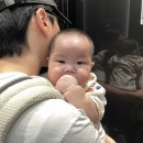 나무와 숲 석모도점 | 공립 석모도자연휴양림, 숲속의 집 덕정산 후기