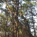 금학지구대 이미지