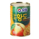 유동