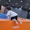 푸키포키