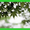 하나과일 - 관악구 남부순환로248길 32 | 하나과일