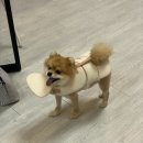 사계에반하다3 이미지