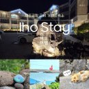 제주공항 근처 가성비 숙소 추천｜제주 이호스테이 펜션 201호 내돈내산 후기 (+써니랑 매일 힐링산책)