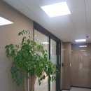 서울윌치과 이미지