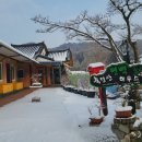 편백숲힐링하우스