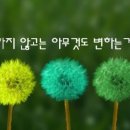 킴스헤어 이미지