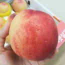 효자농산물마트 - 남원시 동헌길 10 | 요즘 난리 난 마늘쫑비빔밥 레시피, 대패삼겹살이랑 이렇게 드셔보셨나요? 아삭함 끝판왕 양념장 비법