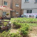 마을정원유지관리 이미지