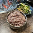 꼬꼬숯불갈비 | 제천 청전동 돼지갈비 맛집 돈이랑 꼬꼬랑