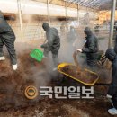 기세축산 이미지