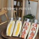 창성(애견) 네이버블로그